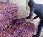 Семенной картофель из Астрахани привезли в пострадавшие районы Дагестана