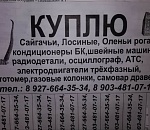 Фото дня: в Астрахани работает привередливый скупщик