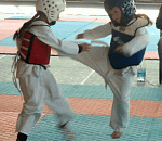 НАШИ ТХЭКВОНДИСТЫ – ПЕРВЫЕ.