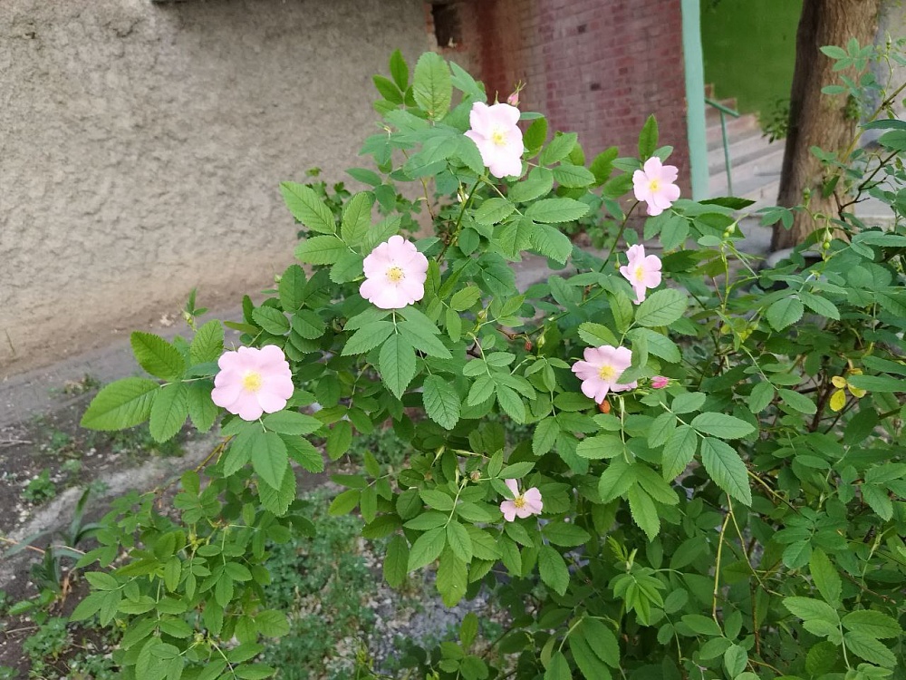 Астраханская погода взяла курс на стабильное тепло