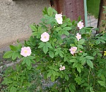 Астраханская погода взяла курс на стабильное тепло