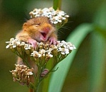 В пятницу в Астрахани тепло и без осадков