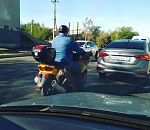 В Астрахани сфотографировали зообайкера