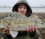 Астраханцу на рыбалке попалась такая рыба, что он не поверил своим глазам
