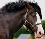 На астраханской границе обнаружили очень необычный рассол