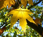 Астраханская погода в сентябре