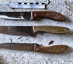 Называется, справили Новый год: в Астрахани после праздничного застолья гость попал в больницу, хозяин – в полицию