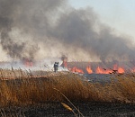 В Астрахани стоит удушливый запах гари