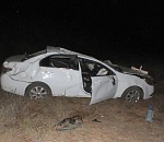 На астраханской трассе автомобиль сбил лошадь и опрокинулся: водитель погиб