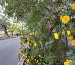 Завтра в Астрахани тепло и наконец-то без дождя 