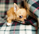 Резкое похолодание придет в Астрахань