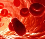 В Астрахани прошла социальная акция «День МНО» 