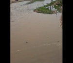 В Астраханской области образовалась новая река