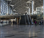 Трагедия во Внуково: многодетная астраханка так и не вернулась в родной город