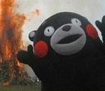 В Астраханской области сожгли опасные саженцы