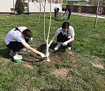 Волонтеры ЕР помогут гражданам проголосовать за объекты благоустройства в регионах 