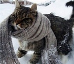 Зима опомнилась: в Астрахани установилась минусовая температура