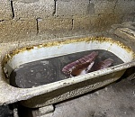 В Астрахани пожилую пару подозревают в организации подпольного рыбного бизнеса 