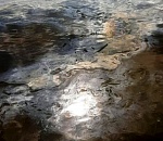 В Астрахани загрязнили Волгу с Трусовской стороны