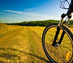 Питерский школьник сбежал в Астрахань из-за пандемии коронавируса