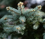 Какая погода встретит астраханцев 12 декабря