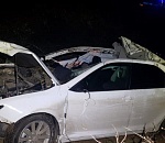 На астраханской трассе иномарка на скорости врезалась в лошадь