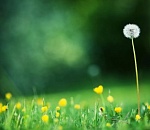 В субботу в Астрахань начнет возвращаться жара