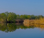 В астраханской реке обнаружен труп мужчины
