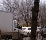 Астраханцы попросили перестать уродовать деревья