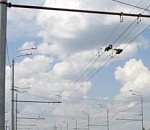 С опор сети астраханского автобусно-троллейбусного предприятия снимут незаконную рекламу