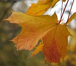 Астраханская погода в октябре