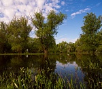 Записки астраханского натуралиста. Полои, уникальные нерестилища