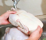 Специалисты рассказали, почему нельзя мыть курицу перед готовкой