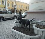 Астраханские власти рассказали, как борются с бездомными собаками