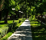 Игорь Бабушкин поручил модернизировать астраханские парки