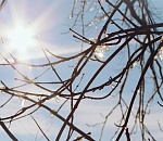 Сегодня в Астрахани ожидается очень теплая погода