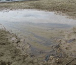 В Астраханской области ликвидируют экологический ущерб с ущербом для экологии 