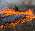 Полторы тысячи военнослужащих тушили астраханский природный пожар 
