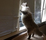 Завтра в Астрахани погода, наконец, порадует