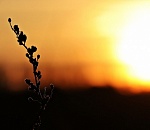 Завтра погода будет благосклонна к астраханцам