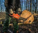 Под Астраханью произвели крупную незаконную рубку леса