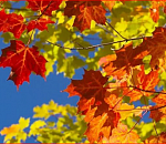 Лето задержится в Астрахани