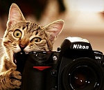 В Астрахани дан старт традиционному фотоконкурсу