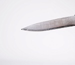 В Ленинградской области ревнивый муж зарезал туриста из Астрахани 