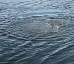 Под Астраханью два друга подрались и один утопил другого