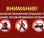 В Астраханской области в третий раз продлили ограничение по нахождению в местных лесах