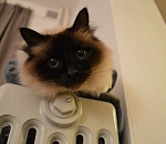 В Астрахани с понедельника начинается отопительный сезон