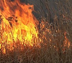 Пожары в дельте Волги будут отслеживать при помощи видеокамер