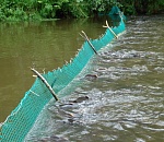 Под Астраханью браконьер полностью перекрыл водоем сетью