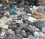 В Астраханской области может появиться новый мусорный полигон